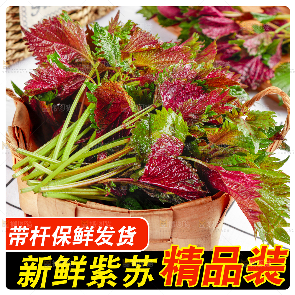 紫苏叶主图