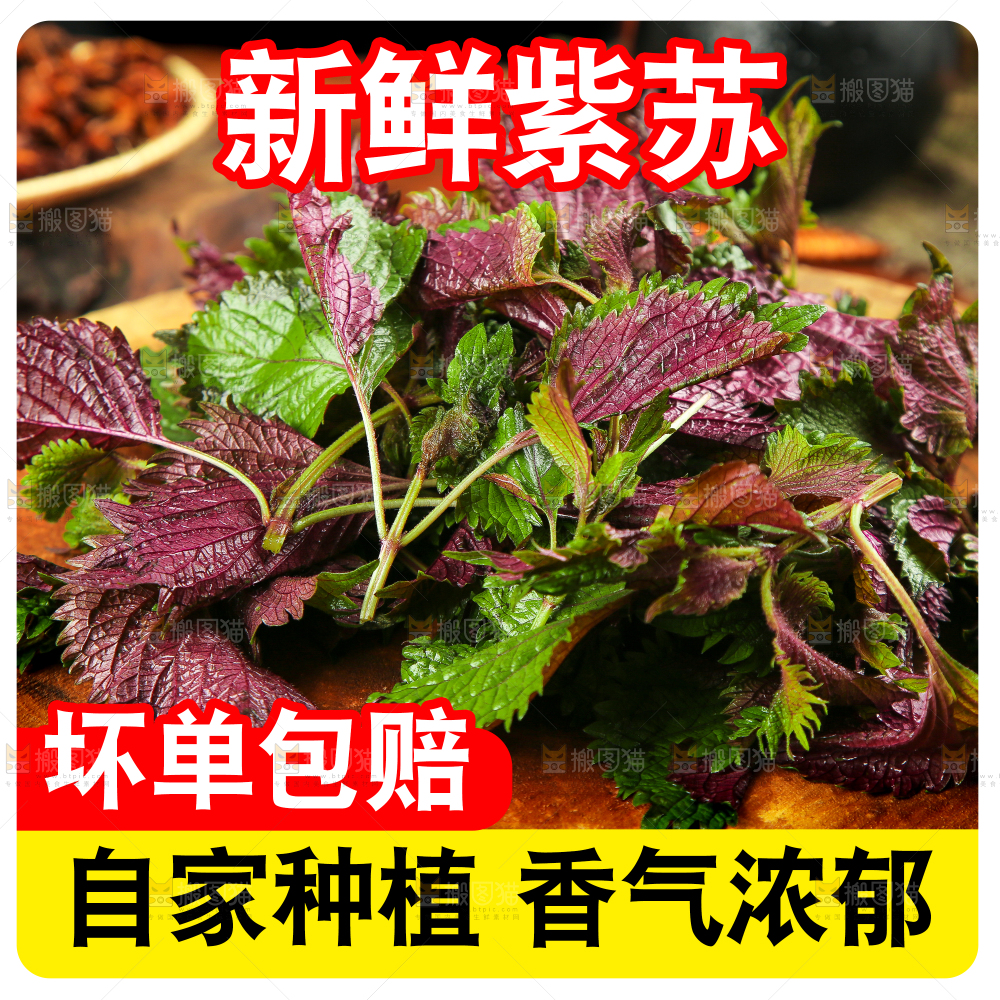 紫苏叶主图