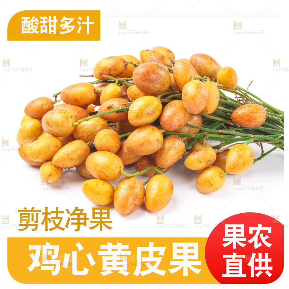 黄皮果主图