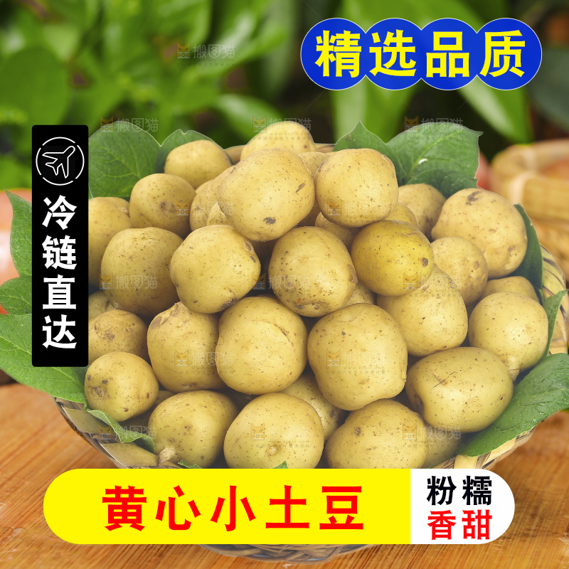 木底上的小土豆