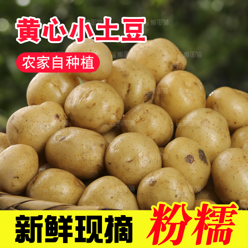 木底上的小土豆