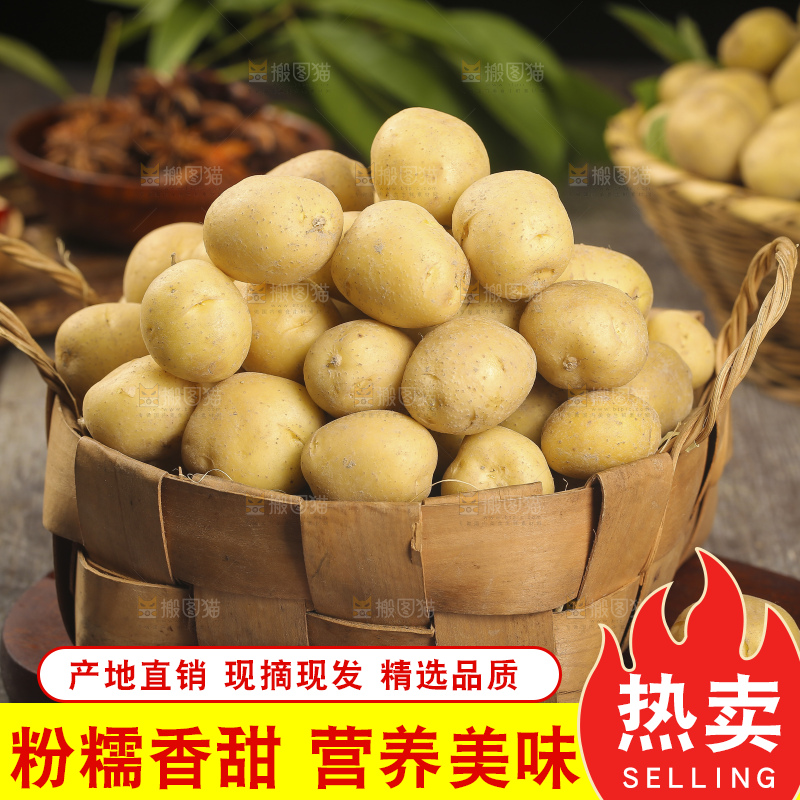 木底上的小土豆