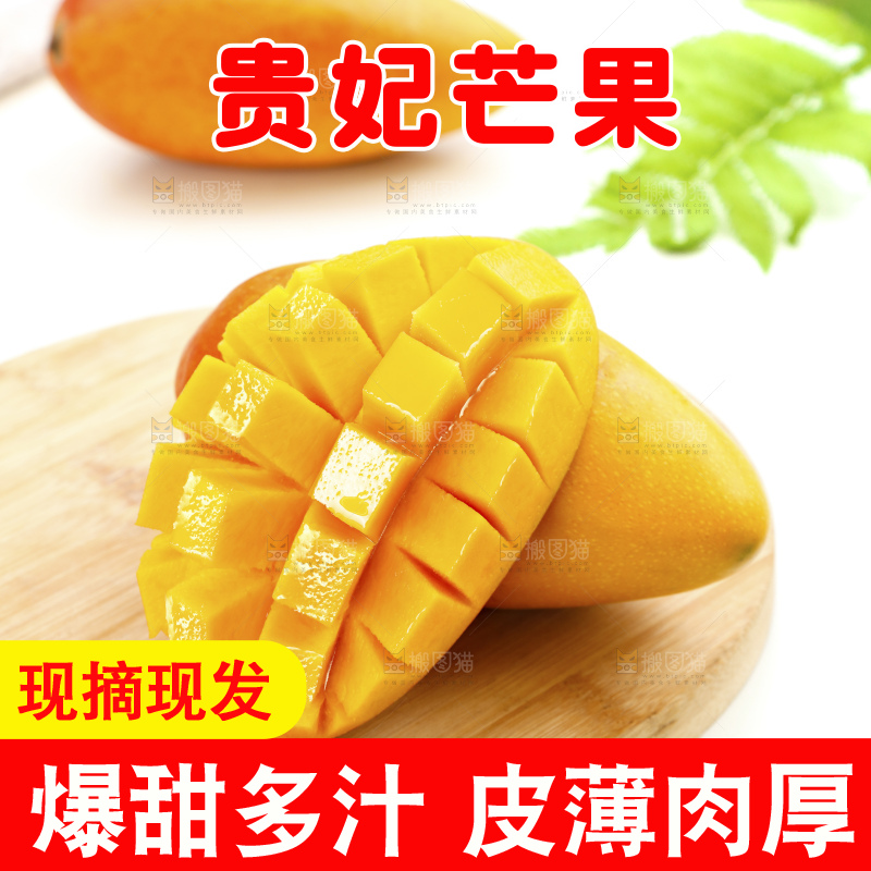 浅底上的贵妃芒
