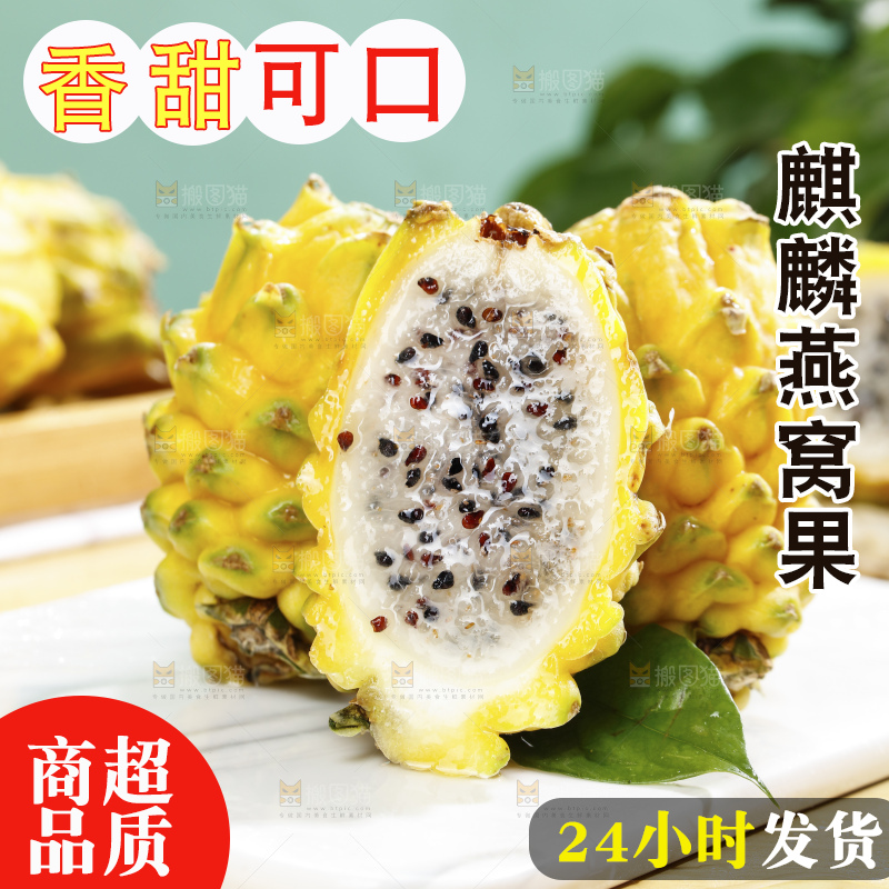 浅底上的麒麟果