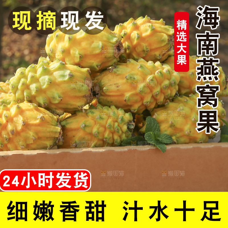 木底上的燕窝果
