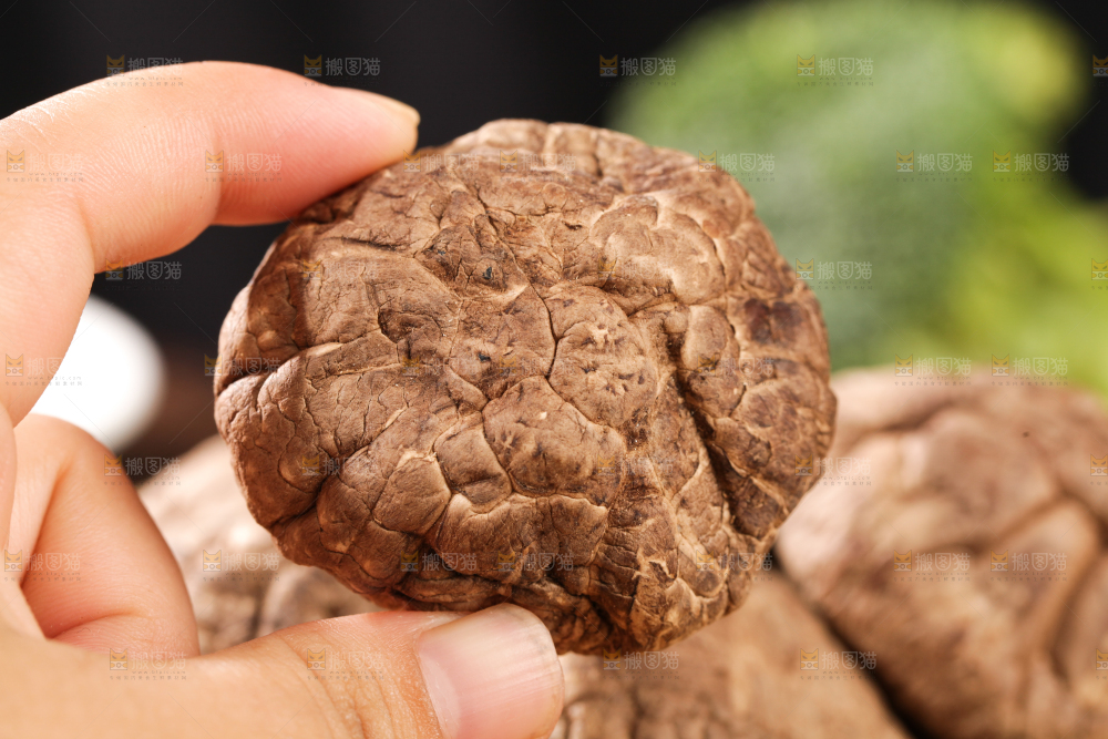 深底上的干香菇