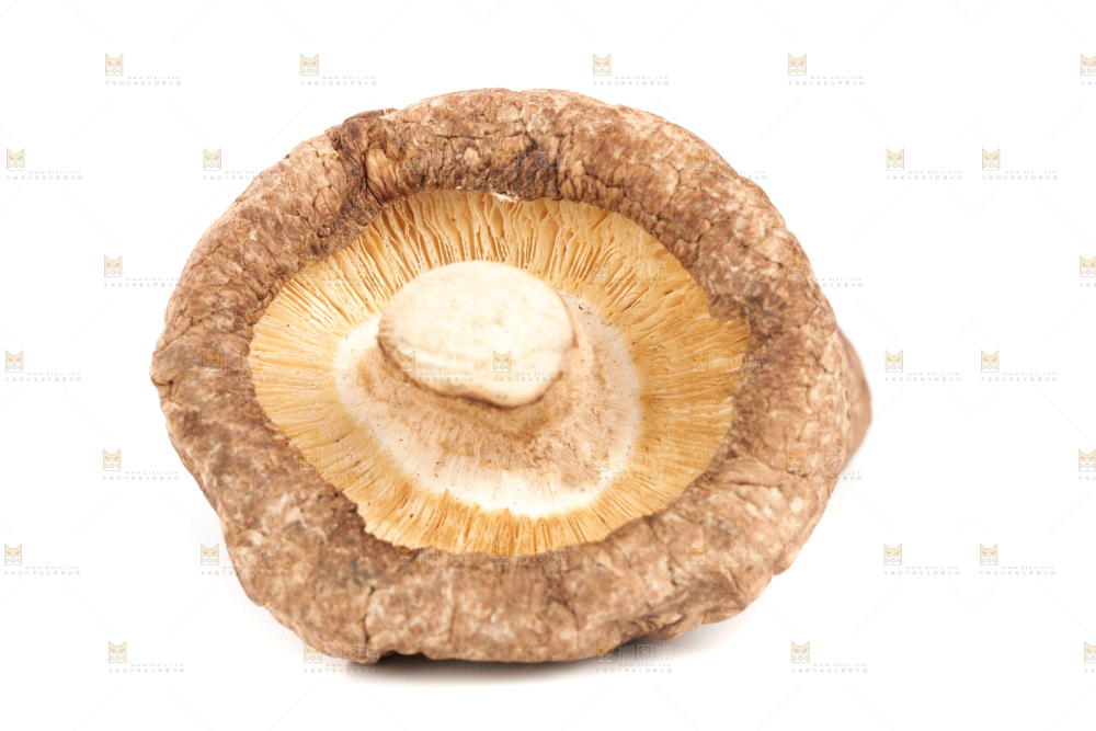 白底上的干香菇
