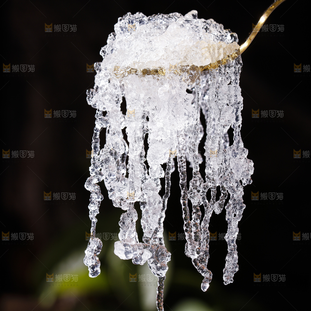 深底上的雪燕