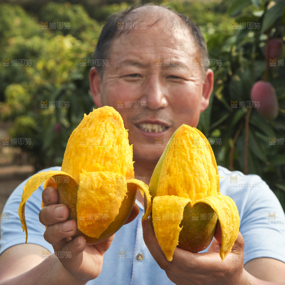 手里拿着贵妃芒果