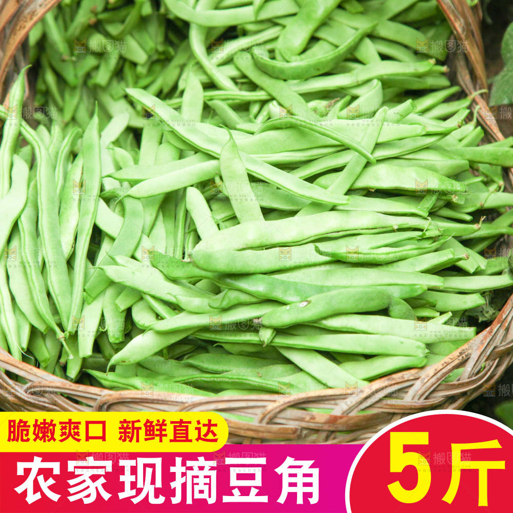 四季豆主图