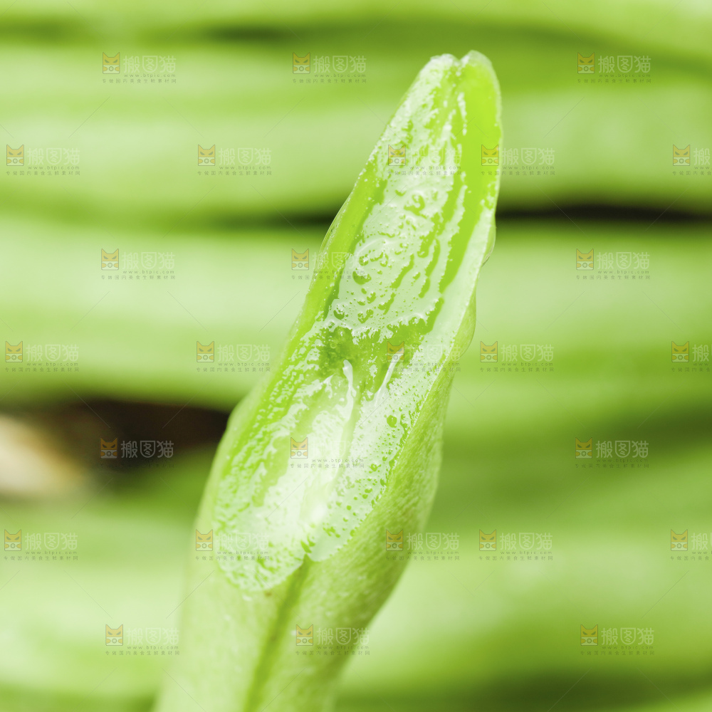 深底上的四季豆