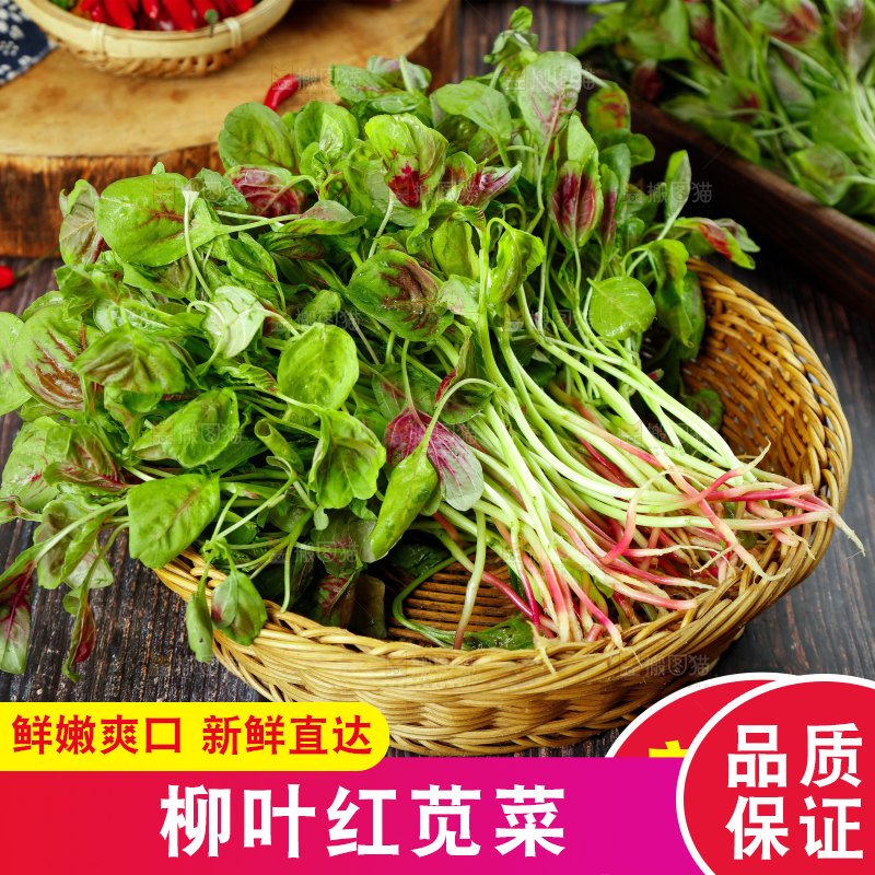 新鲜苋菜主图