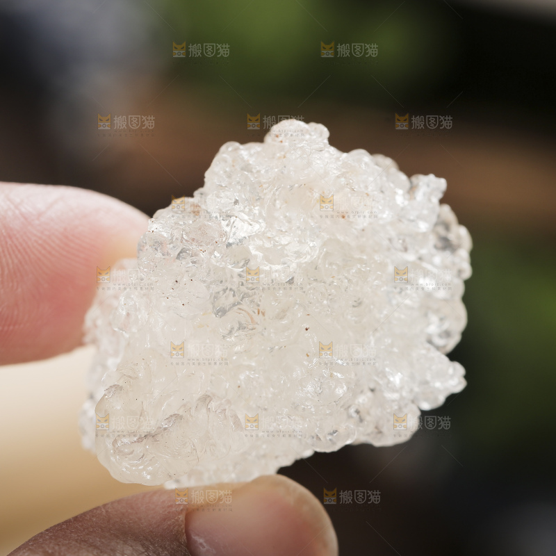 深底上的雪燕