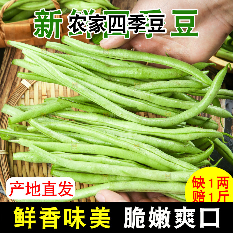 四季豆主图