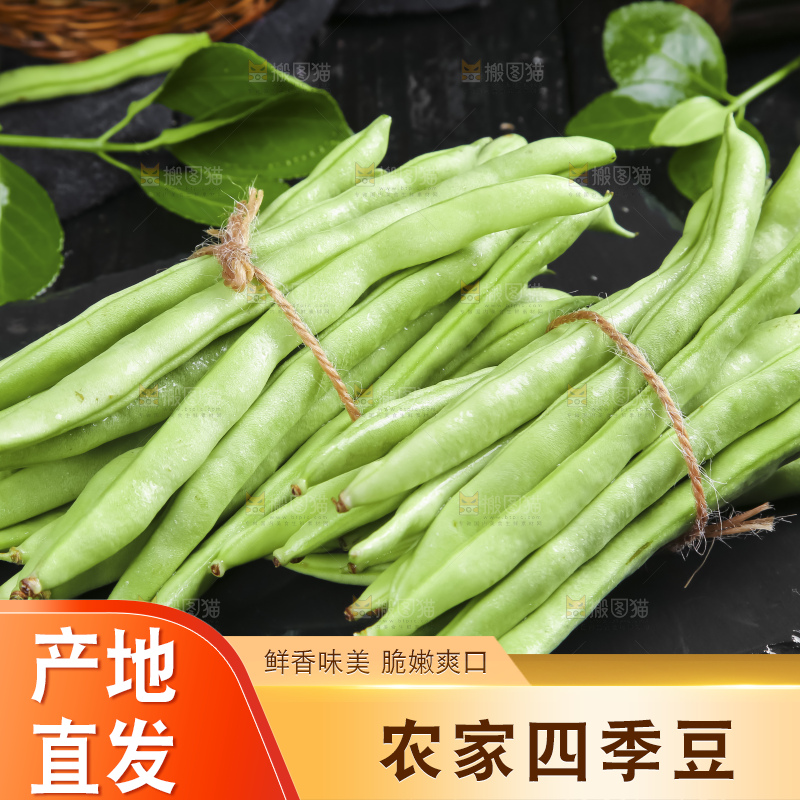 深底上的四季豆