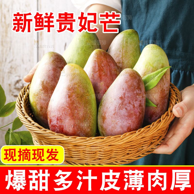 浅底上的贵妃芒