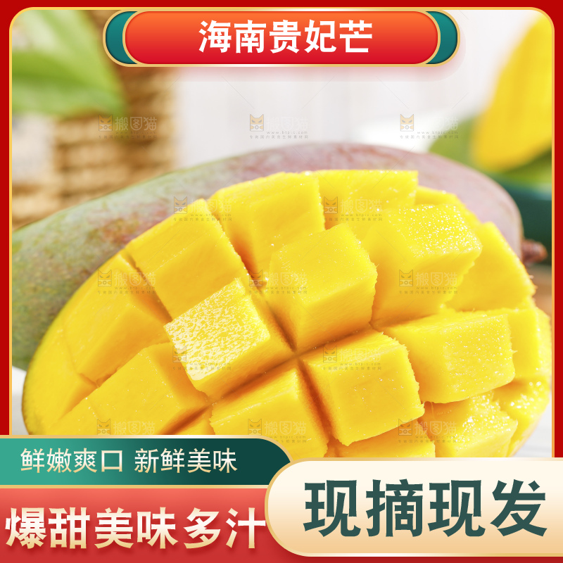 浅底上的贵妃芒