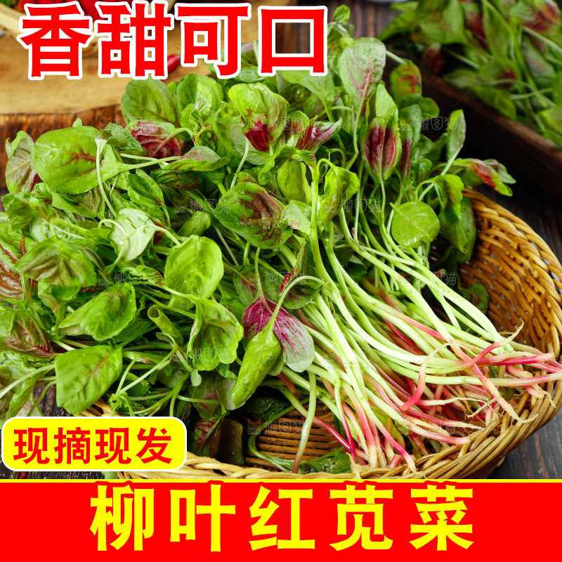 木底上的红苋菜