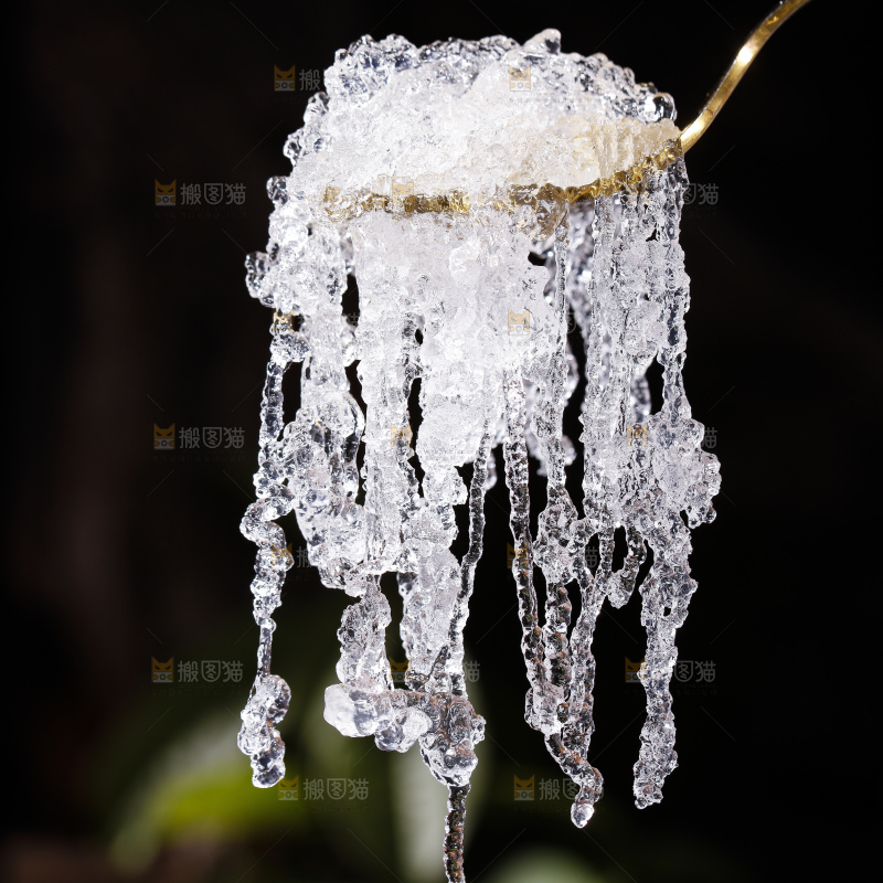 深底上的雪燕