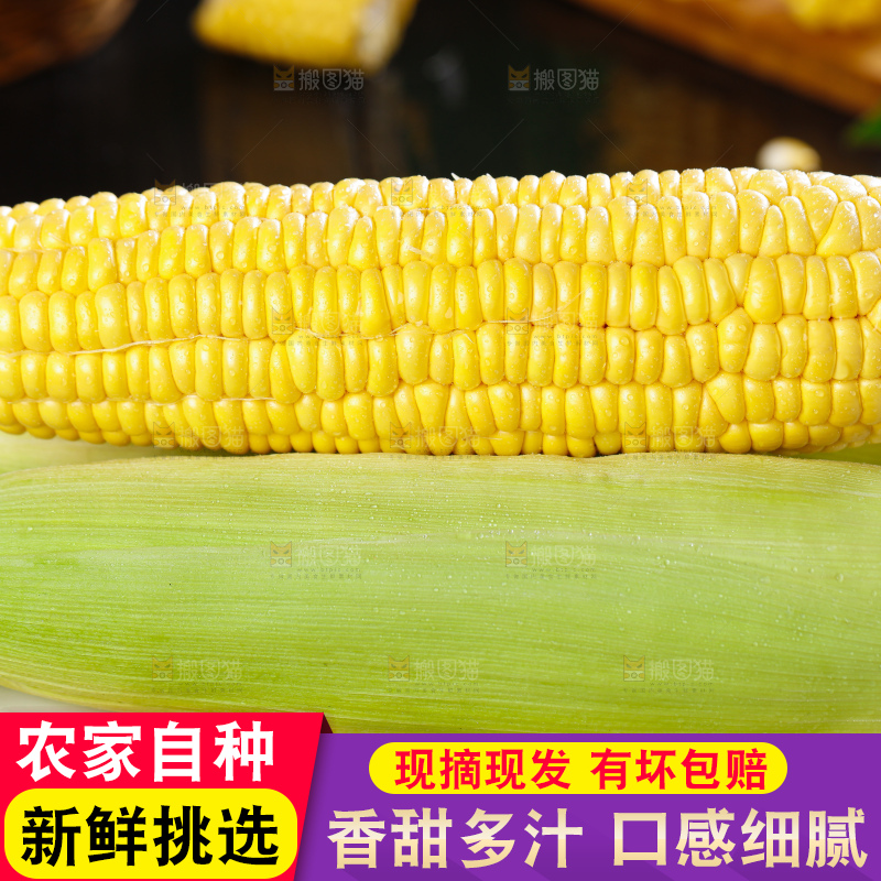 深底上的水果玉米