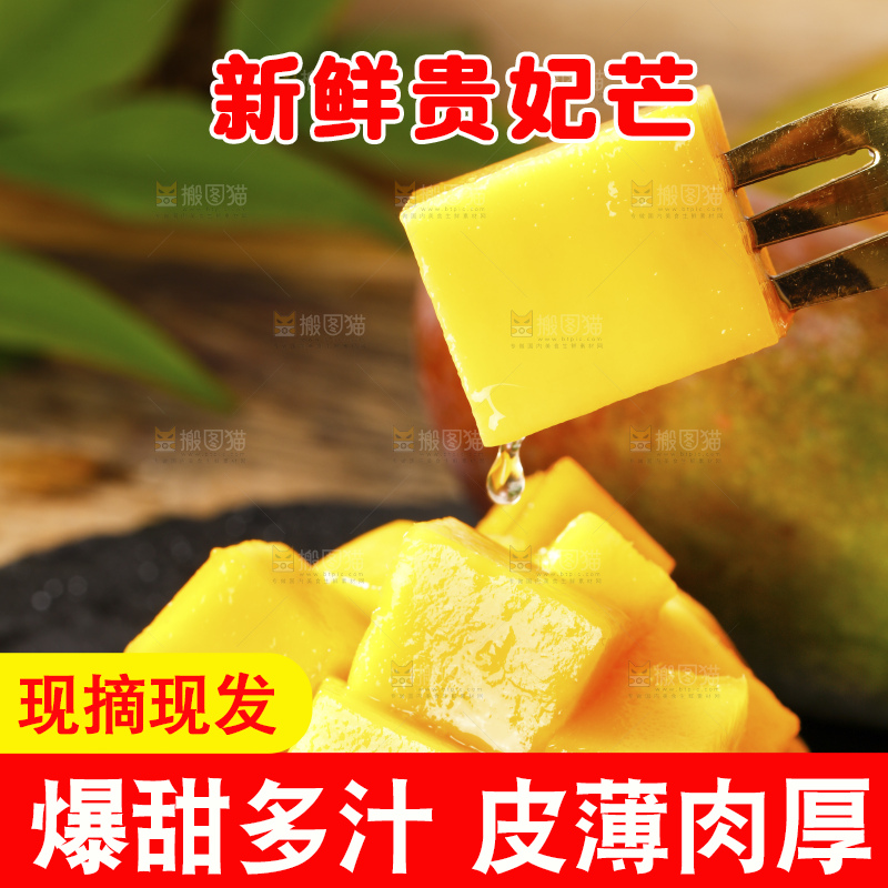 浅底上的贵妃芒