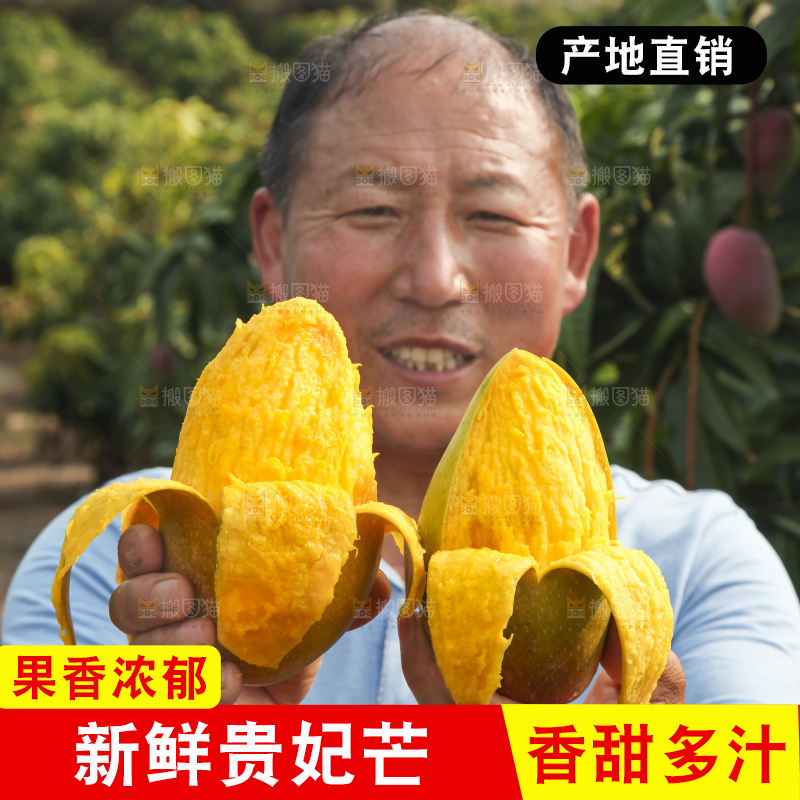 手里拿着贵妃芒果