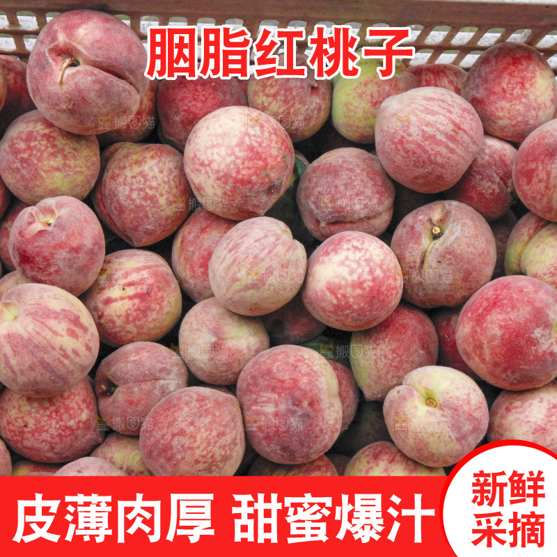 深底上的胭脂红