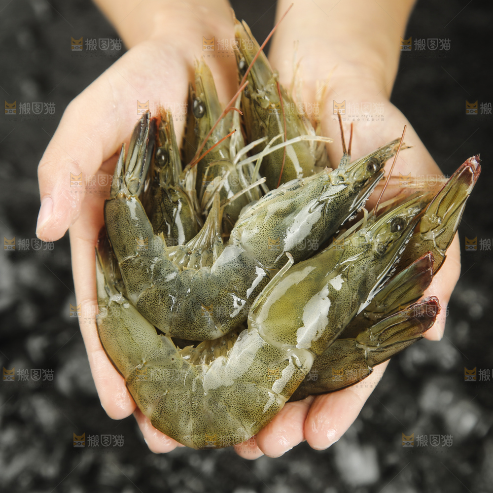 大青虾