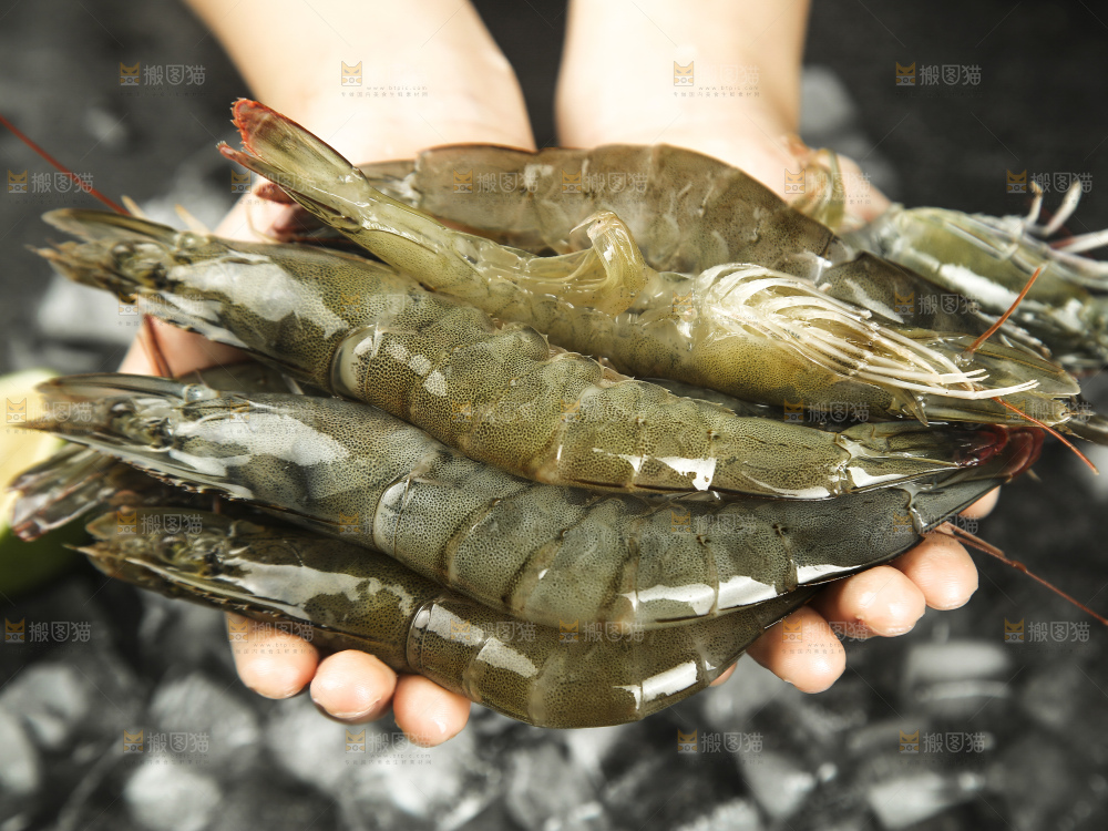 手里拿着青岛大虾