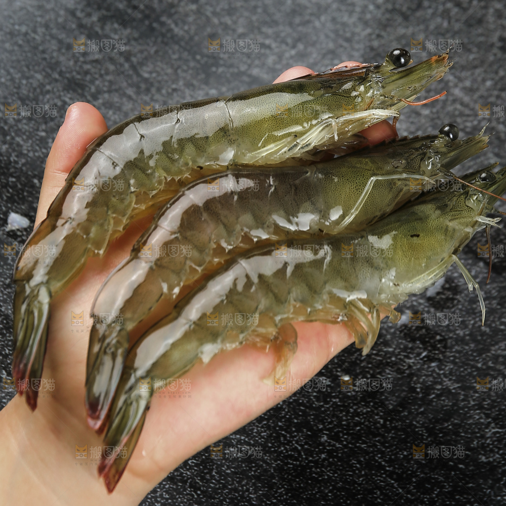 手里拿着青岛大虾