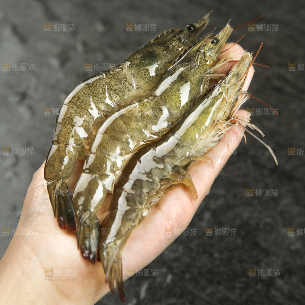 手里拿着青岛大虾