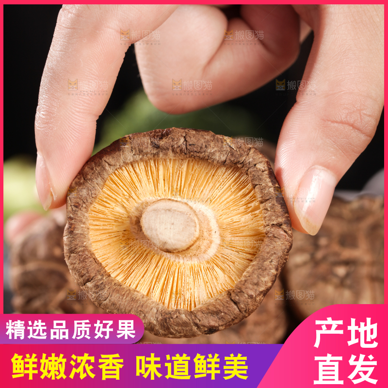 深底上的干香菇