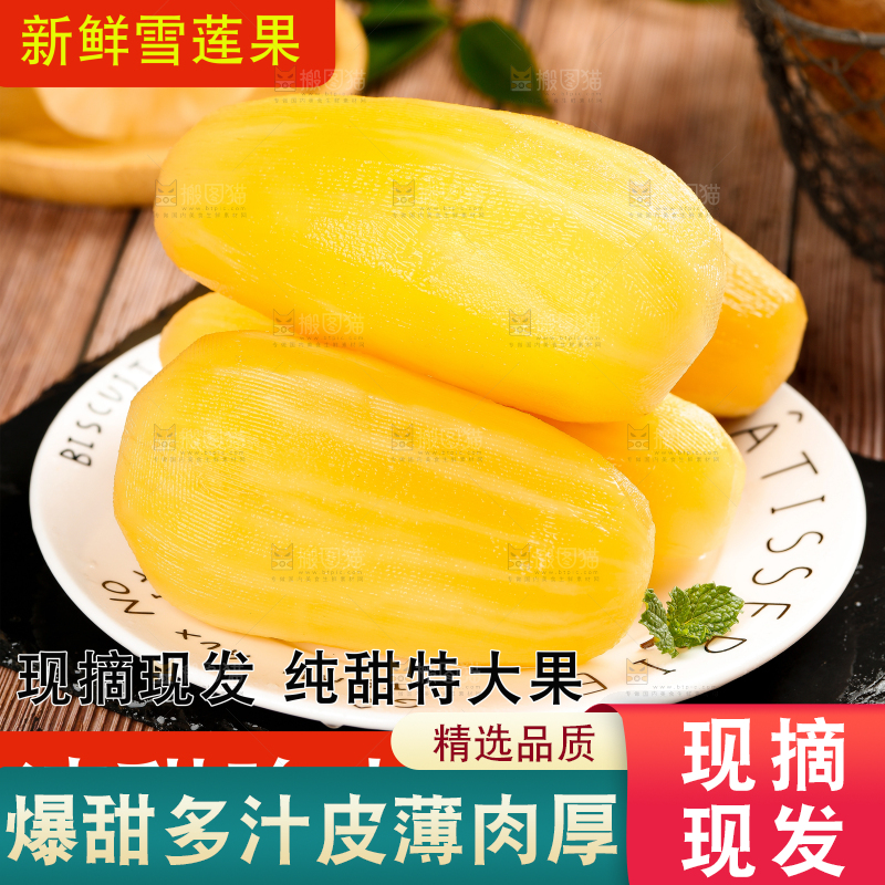 雪莲果主图