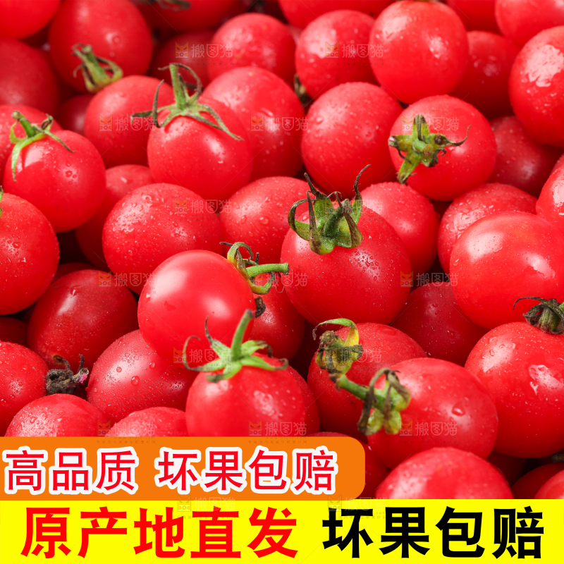 樱桃小番茄主图