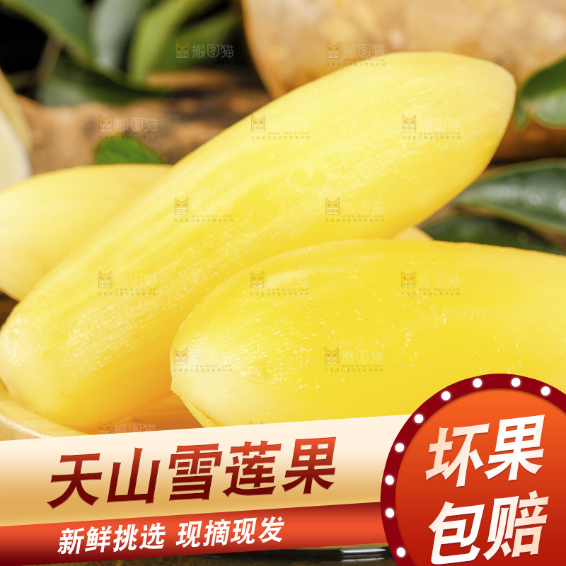 深底上的雪莲果