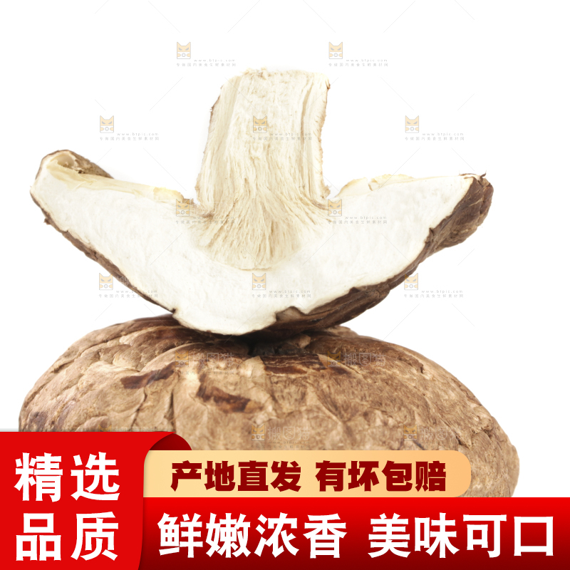 白底上的干香菇