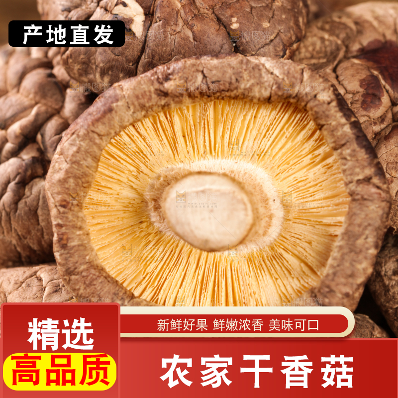 深底上的干香菇