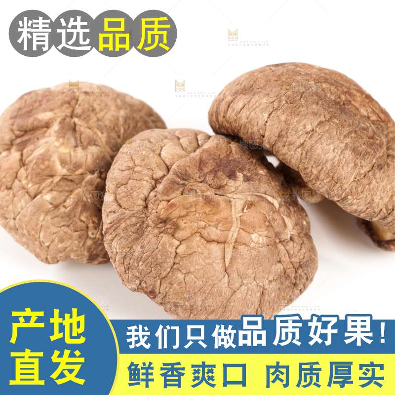 白底上的干香菇