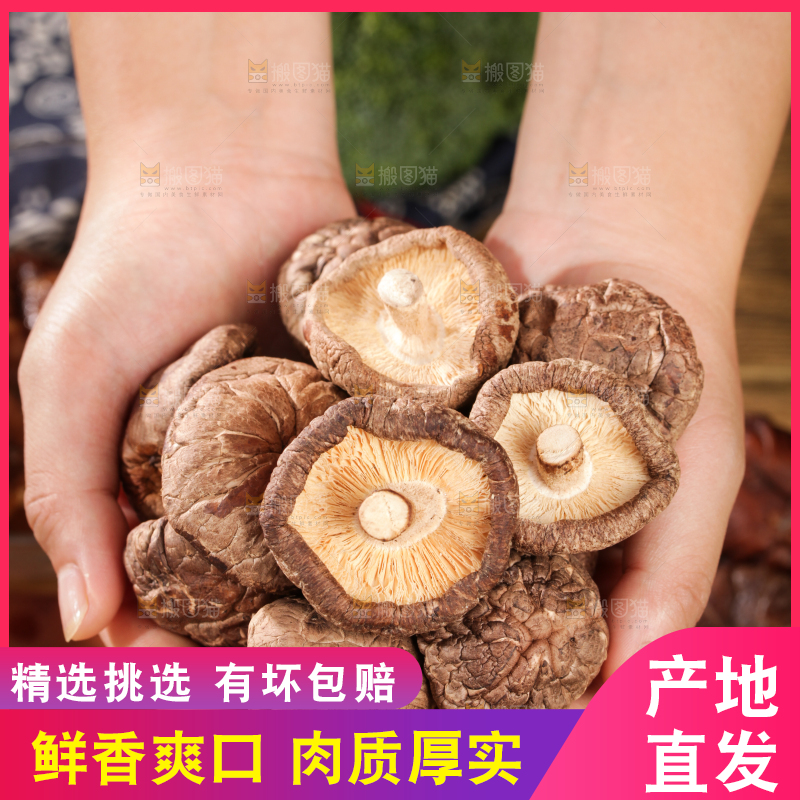 深底上的干香菇