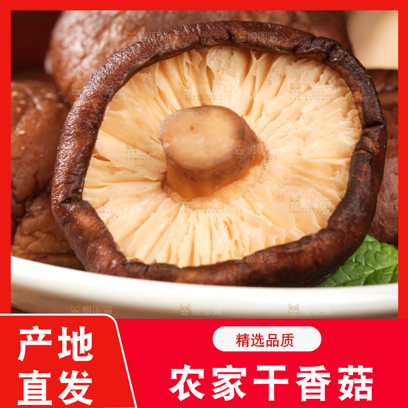 深底上的干香菇