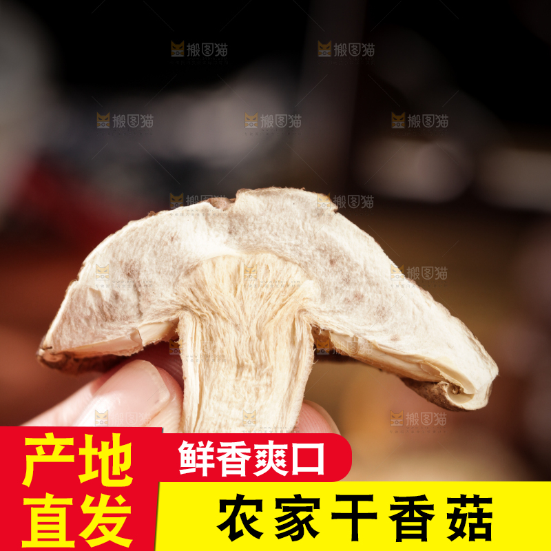 深底上的干香菇