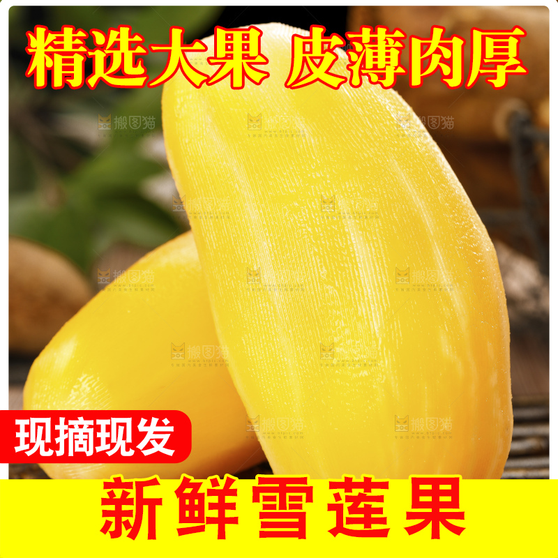 深底上的雪莲果