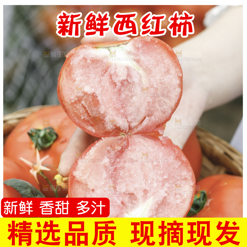 手里拿着沙瓤番茄