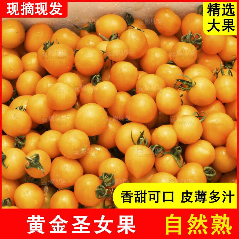 堆放着的黄金小番茄