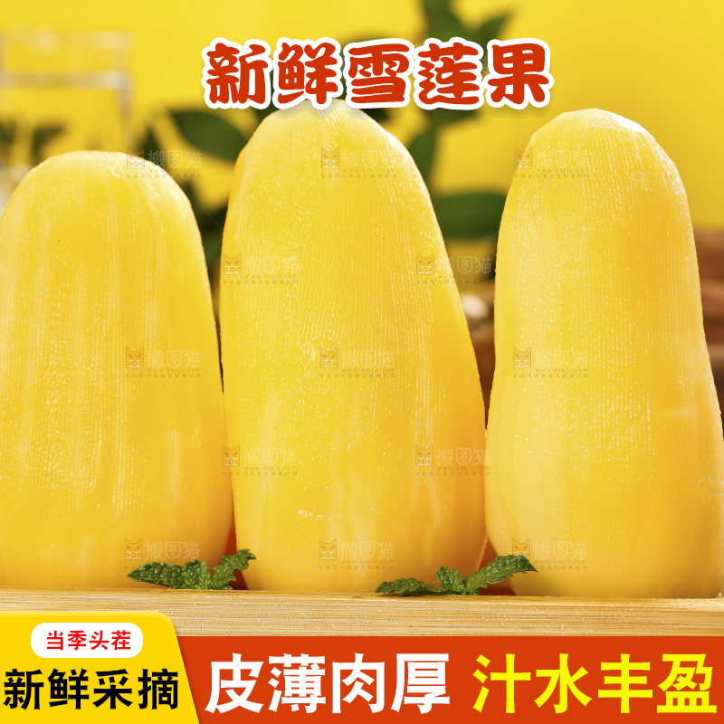 深底上的雪莲果