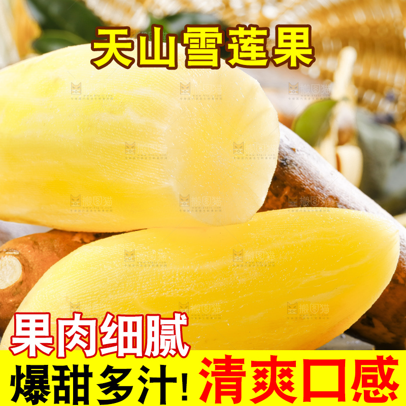 深底上的雪莲果