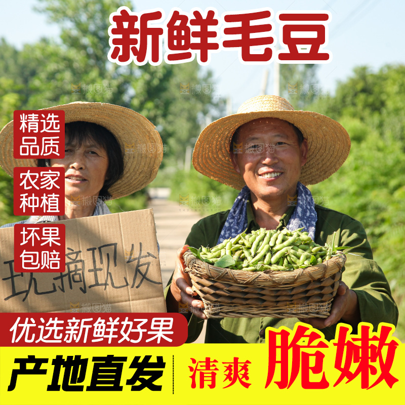 手里拿着现摘毛豆