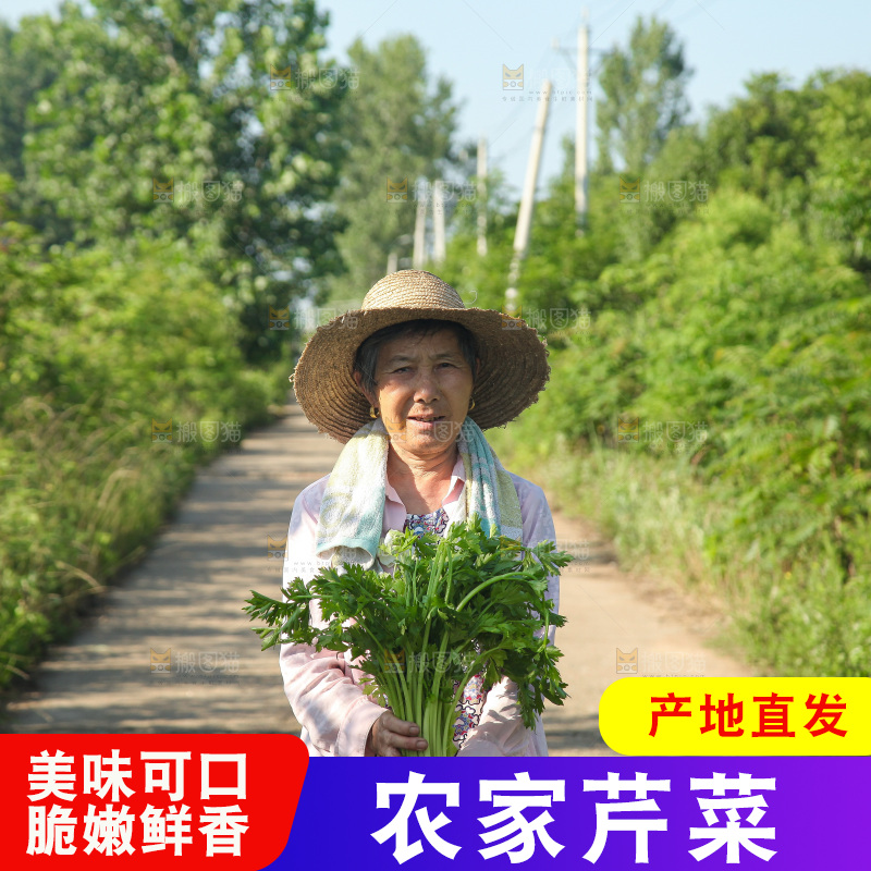 手里拿着新鲜芹菜