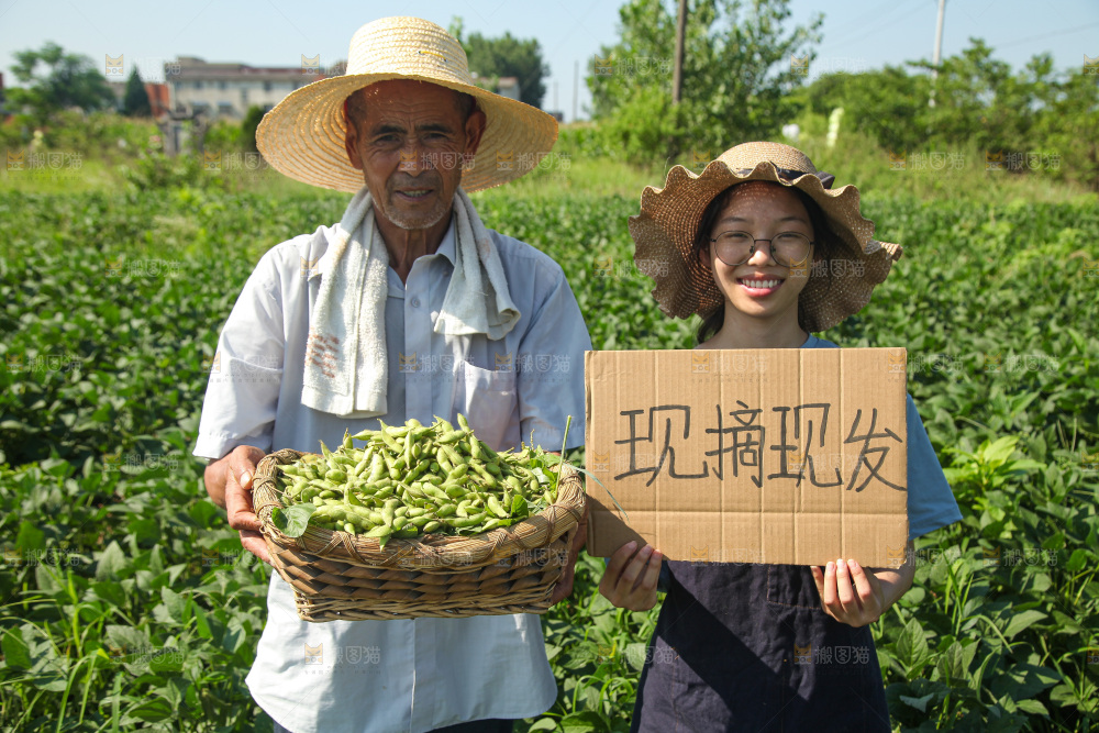 手里拿着现摘毛豆