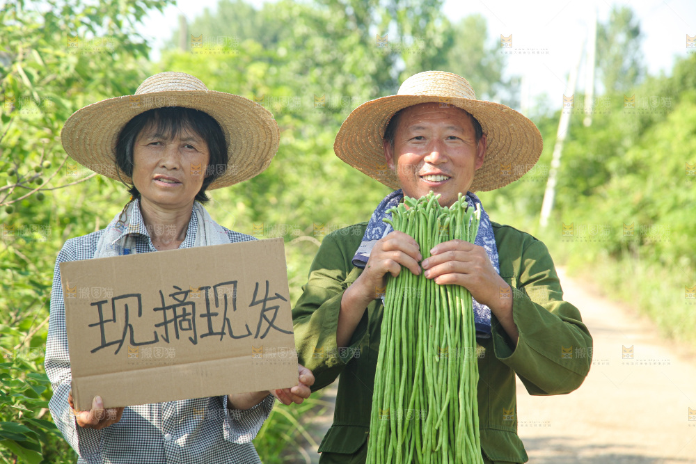 手里拿着长豇豆